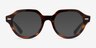 Ray-Ban RB7214 Gina Striped Tortoise PlasticEyeglass Frames from EyeBuyDirect, with Tinted Lenses