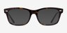 Ray-Ban RB5383 Tortoise AcetateEyeglass Frames from EyeBuyDirect, with Tinted Lenses
