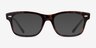 Ray-Ban RB5383 Tortoise Clear Yellow AcetateEyeglass Frames from EyeBuyDirect, with Tinted Lenses
