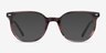 Ray-Ban RB5397 Elliot Striped Brown AcetateEyeglass Frames from EyeBuyDirect, with Tinted Lenses
