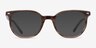Ray-Ban RB5397 Elliot Striped Brown Green AcetateEyeglass Frames from EyeBuyDirect, with Tinted Lenses