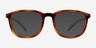 ARNETTE Karibou Tortoise PlasticEyeglass Frames from EyeBuyDirect, with Tinted Lenses