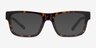 ARNETTE Kokoro Shiny Tortoise AcetateEyeglass Frames from EyeBuyDirect, with Tinted Lenses