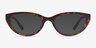 Vogue Eyewear VO5290 Dark Tortoise Light Brown PlasticEyeglass Frames from EyeBuyDirect, with Tinted Lenses