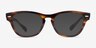 Ray-Ban RB2201V Laramie Shiny Striped Tortoise AcetateEyeglass Frames from EyeBuyDirect, with Tinted Lenses