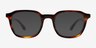 Ray-Ban RB5390 Striped Tortoise AcetateEyeglass Frames from EyeBuyDirect, with Tinted Lenses