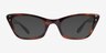 Ray-Ban RB5499 Lady Burbank Striped Tortoise AcetateEyeglass Frames from EyeBuyDirect, with Tinted Lenses