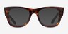Ray-Ban RB0840V Striped Tortoise PlasticEyeglass Frames from EyeBuyDirect, with Tinted Lenses