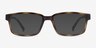 ARNETTE Bixiga Matte Tortoise PlasticEyeglass Frames from EyeBuyDirect, with Tinted Lenses