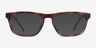 ARNETTE Roboto Matte Dark Avana PlasticEyeglass Frames from EyeBuyDirect, with Tinted Lenses