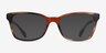 Ray-Ban RB5362 Striped Brown AcetateEyeglass Frames from EyeBuyDirect, with Tinted Lenses