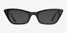 Ray-Ban RB5499 Lady Burbank Tortoise AcetateEyeglass Frames from EyeBuyDirect, with Tinted Lenses