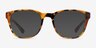 Vogue Eyewear VO5313 Yellow Tortoise AcetateEyeglass Frames from EyeBuyDirect, with Tinted Lenses