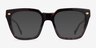Vogue Eyewear VO5371 Matte Dark Tortoise AcetateEyeglass Frames from EyeBuyDirect, with Tinted Lenses