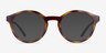 ARNETTE Allye Dark Tortoise PlasticEyeglass Frames from EyeBuyDirect, with Tinted Lenses