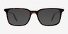 Ray-Ban RB5421 Tortoise AcetateEyeglass Frames from EyeBuyDirect, with Tinted Lenses