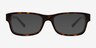 Ray-Ban RB5268 Tortoise AcetateEyeglass Frames from EyeBuyDirect, with Tinted Lenses