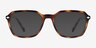 Vogue Eyewear VO5532 Dark Tortoise PlasticEyeglass Frames from EyeBuyDirect, with Tinted Lenses