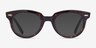 Ray-Ban RB2199V Orion Dark Tortoise AcetateEyeglass Frames from EyeBuyDirect, with Tinted Lenses