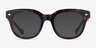 Vogue Eyewear VO5402 Dark Tortoise AcetateEyeglass Frames from EyeBuyDirect, with Tinted Lenses