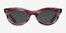 Ray-Ban RB2242V Wayfarer Oval Striped Clear Purple PlasticEyeglass Frames from EyeBuyDirect, with Tinted Lenses