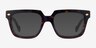Vogue Eyewear VO5403 Tortoise AcetateEyeglass Frames from EyeBuyDirect, with Tinted Lenses