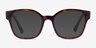 Vogue Eyewear VO5407 Matte Tortoise PlasticEyeglass Frames from EyeBuyDirect, with Tinted Lenses