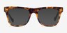 Vogue Eyewear VO5464 Tortoise AcetateEyeglass Frames from EyeBuyDirect, with Tinted Lenses