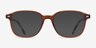 Ray-Ban RB5393 Leonard Clear Brown AcetateEyeglass Frames from EyeBuyDirect, with Tinted Lenses