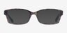 Coach HC6040 Brooklyn Tortoise Green AcetateEyeglass Frames from EyeBuyDirect, with Tinted Lenses