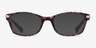 Coach HC6065 Confetti Light Brown AcetateEyeglass Frames from EyeBuyDirect, with Tinted Lenses