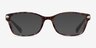 Coach HC6065 Confetti Brown AcetateEyeglass Frames from EyeBuyDirect, with Tinted Lenses
