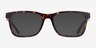 Coach HC6166U Dark Tortoise AcetateEyeglass Frames from EyeBuyDirect, with Tinted Lenses