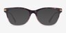 Coach HC6176 Rose Tortoise Gradient AcetateEyeglass Frames from EyeBuyDirect, with Tinted Lenses