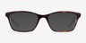 Ralph RA7044 Tortoise Blue AcetateEyeglass Frames from EyeBuyDirect, with Tinted Lenses