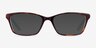 Ralph RA7044 Tortoise On Blue AcetateEyeglass Frames from EyeBuyDirect, with Tinted Lenses