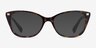 Ralph RA7146 Shiny Tortoise AcetateEyeglass Frames from EyeBuyDirect, with Tinted Lenses