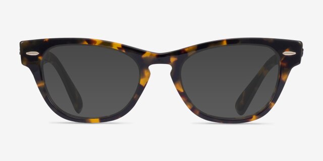 Ray-Ban RB2201V Laramie Dark Tortoise AcetateEyeglass Frames from EyeBuyDirect, with Tinted Lenses