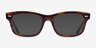 Ray-Ban RB5383 Tortoise Brown AcetateEyeglass Frames from EyeBuyDirect, with Tinted Lenses