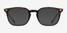 Vogue Eyewear VO5433 Tortoise AcetateEyeglass Frames from EyeBuyDirect, with Tinted Lenses