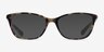 Coach HC6121 Gray Green Tortoise AcetateEyeglass Frames from EyeBuyDirect, with Tinted Lenses