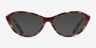 Ralph RA7121 Brown Tortoise PlasticEyeglass Frames from EyeBuyDirect, with Tinted Lenses