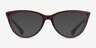 Ralph RA7131 Matte Chocolate PlasticEyeglass Frames from EyeBuyDirect, with Tinted Lenses
