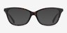 Coach HC6206U Dark Tortoise AcetateEyeglass Frames from EyeBuyDirect, with Tinted Lenses
