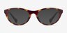 Ralph RA7143U Tortoise PlasticEyeglass Frames from EyeBuyDirect, with Tinted Lenses