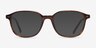 Ray-Ban RB5393 Leonard Warm Tortoise AcetateEyeglass Frames from EyeBuyDirect, with Tinted Lenses