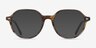 Ray-Ban RB5395 Thalia Tortoise AcetateEyeglass Frames from EyeBuyDirect, with Tinted Lenses