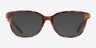 Coach HC6224U Dark Tortoise AcetateEyeglass Frames from EyeBuyDirect, with Tinted Lenses