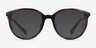 Ralph RA7149U Tortoise Plastic-metalEyeglass Frames from EyeBuyDirect, with Tinted Lenses