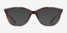 Vogue Eyewear VO5679B Brown Tortoise Alternative MaterialsEyeglass Frames from EyeBuyDirect, with Tinted Lenses